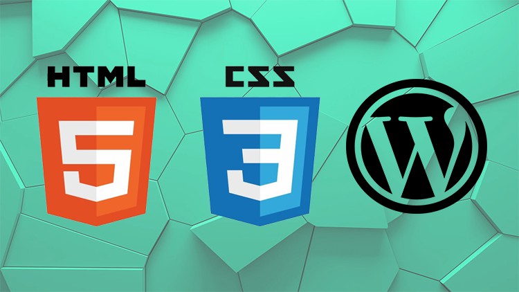 Web Design Course For Beginners To Intermediate