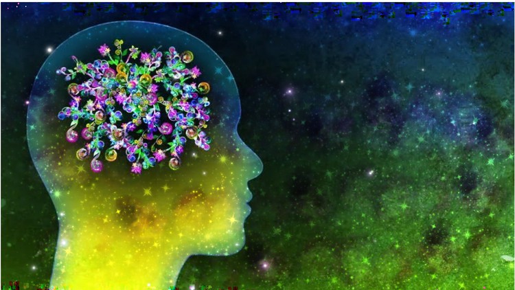 0781d2deaf836896e67034da60c6e2bc