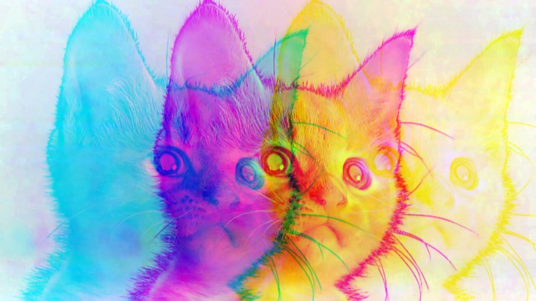 b35448235db11a486334fcb24ea64755