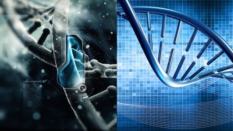 d54dd60e1f4f991b9ed878ef6eded8aa