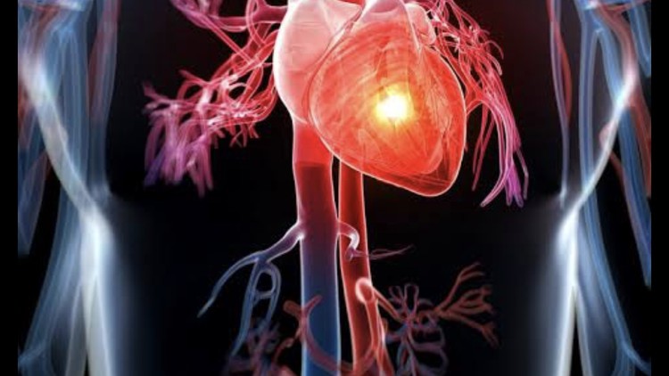 368807cdd85d0758b1ea55e9e5794718