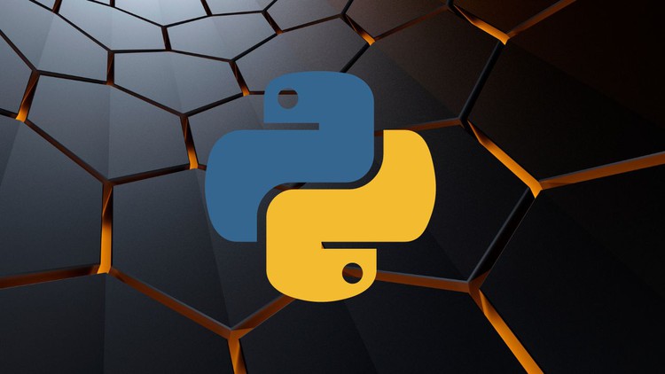 Python in Hindi - Learn Basic Python Programing The Easy Way – CourseVania