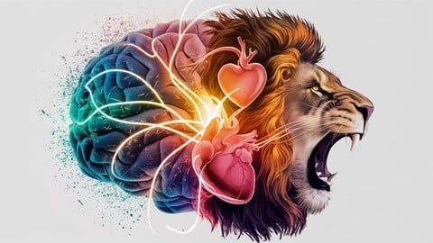 52604f177f3d86cc64977c39a65d6b4e