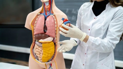 90e9386c749cadf7c9ddf448673b782b