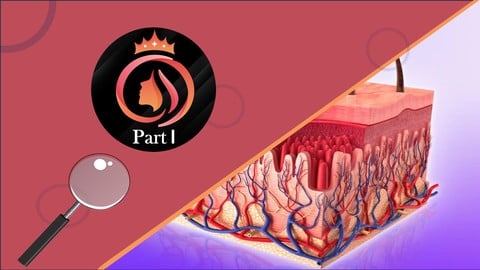 b1acdfba7521f3d342b0ca8af0db39db