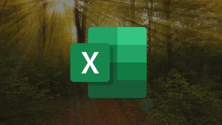 The Complete Microsoft Excel Course- Beginner to Advanced .webp